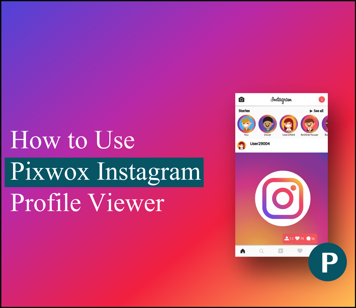 How to Use Pixwox Instagram Profile Viewer?