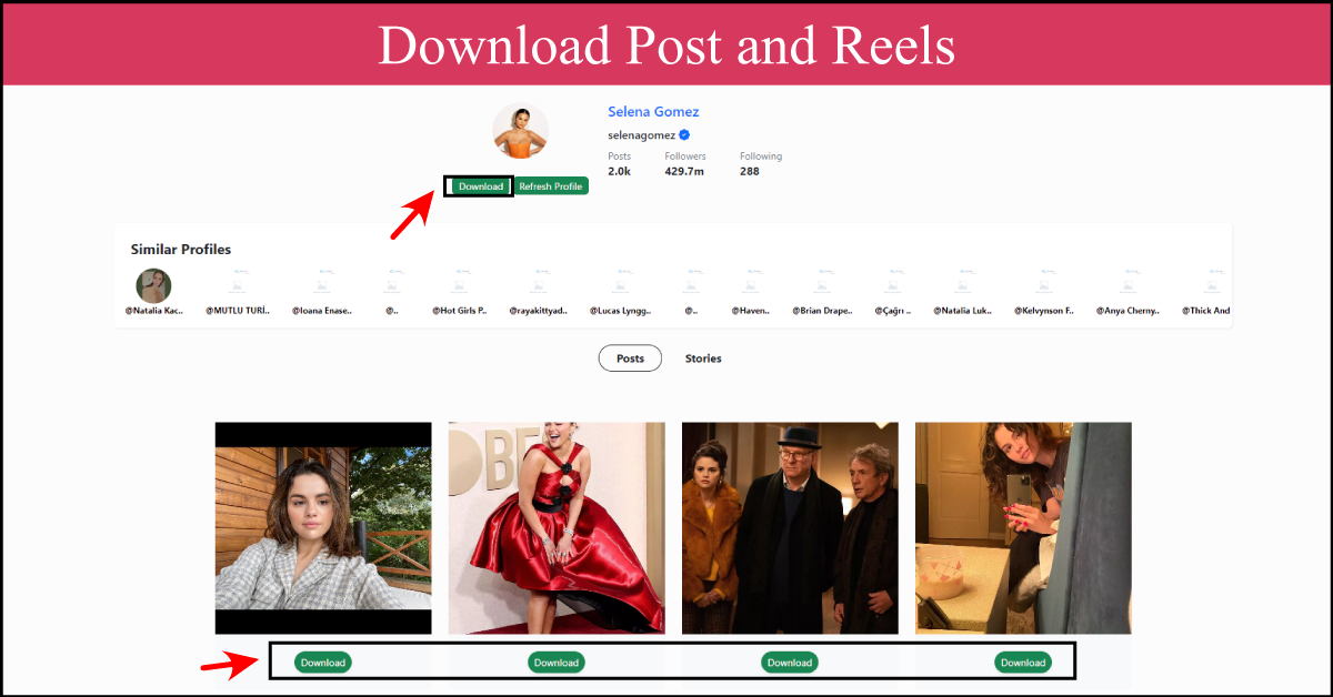 Download Post and Reels