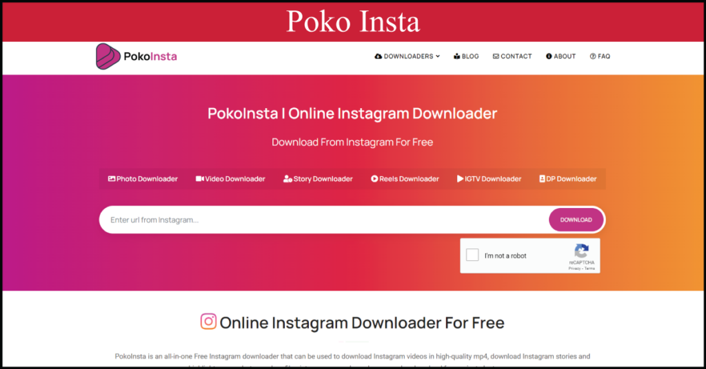 Poko Insta