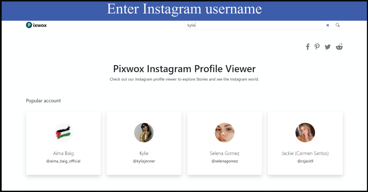 Enter Instagram username