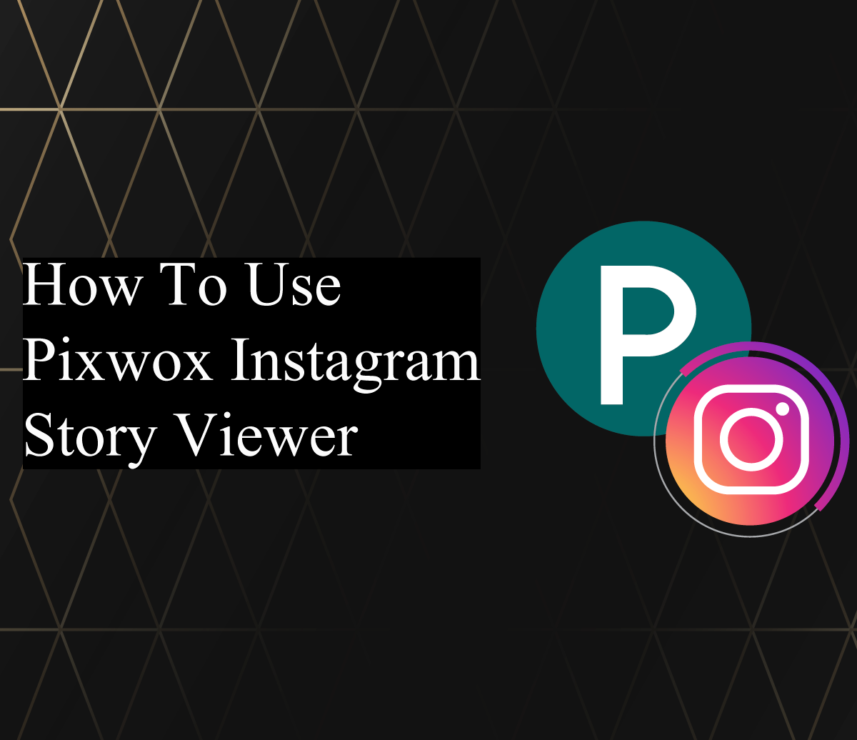 How To Use Pixwox Instagram Story Viewer