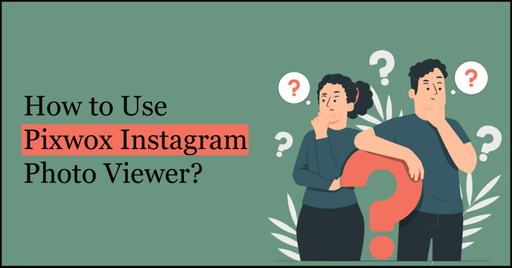 How to Use Pixwox Instagram Photo Viewer?